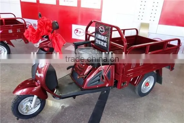3 Wheel Motorized Cargo Tricycle photo-4