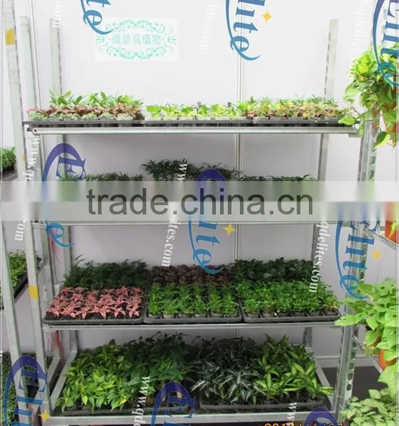 245 Shelf of Logistics Vehicles photo-3