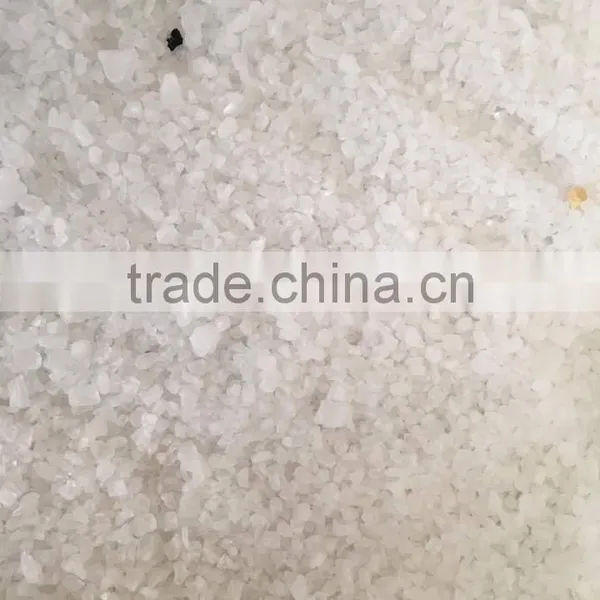 High Capacity Salt Color Sorter Machine in China photo-2