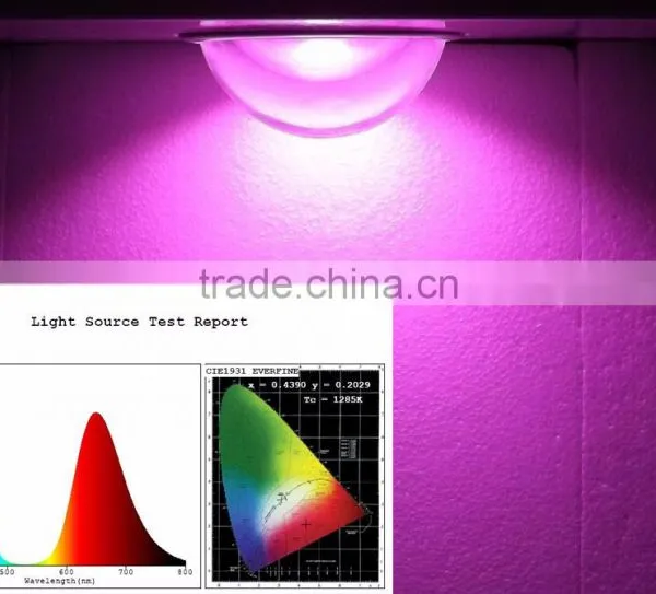 Led Cob Grow ,50w Full Spectrum Cob,grow Led Chip photo-2