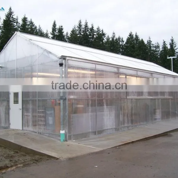 PC Sheet Covered Small Garden Greenhouse For Flowers Growing photo-6
