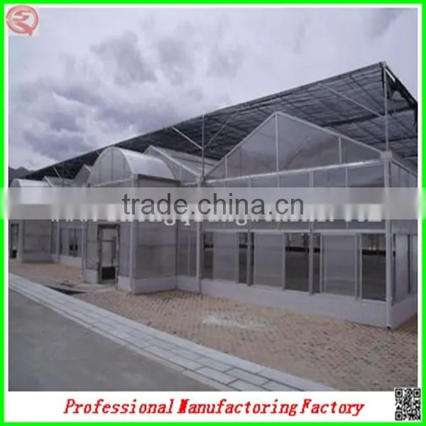 Commercial Steel Frame Venlo Polycarbonate Greenhouses for Sale photo-6