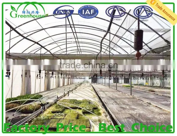 Commercial Hydroponics Greenhouse Cost for Sale photo-4