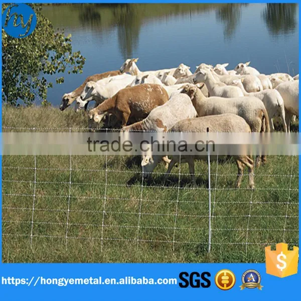 ISO9001 Anping Hot Dipped Galvanized Hinge Join Farm Cow And Sheep Fence Wire Cattle Field Fence Wire photo-3