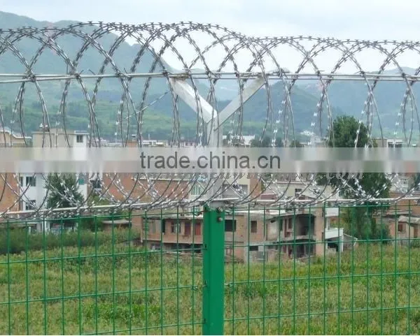 High Quality Galvanized Razor Barbed Wire photo-2