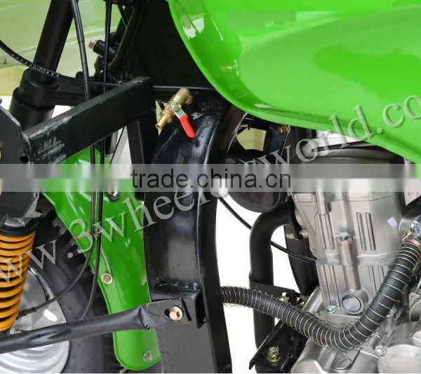 Website 2015 China Popular Design 175cc Electric Pedicab for Sale photo-2