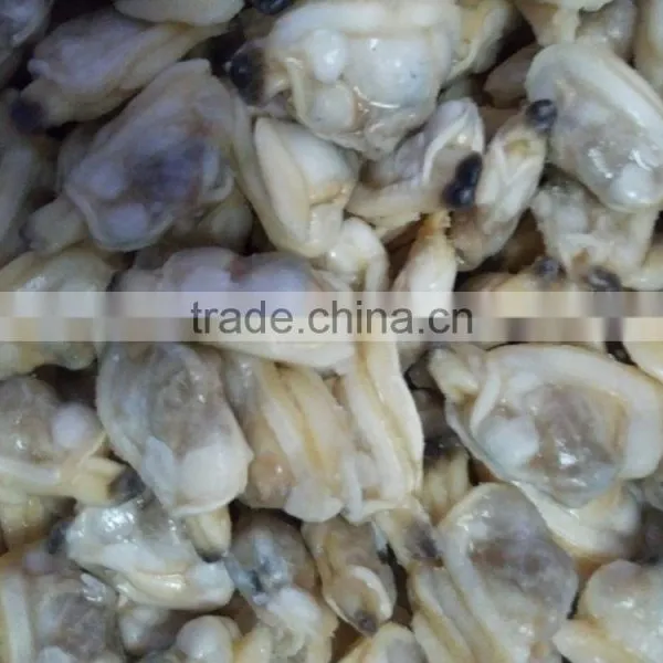 Frozen Boiled Clam Meat for Vietnam Making Seafood Mix photo-2