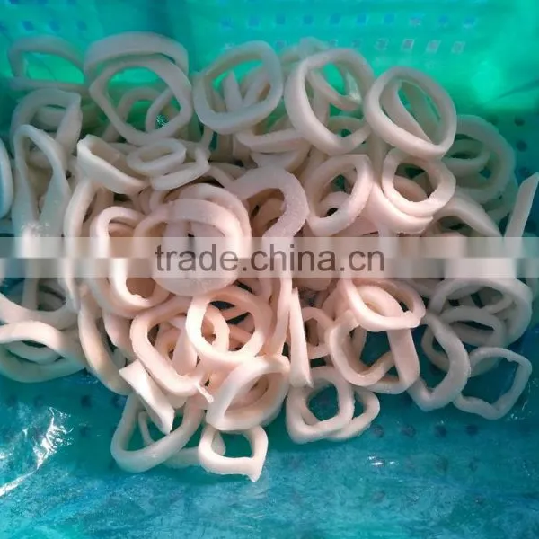 Frozen Squid Rings in Hot Sale photo-3