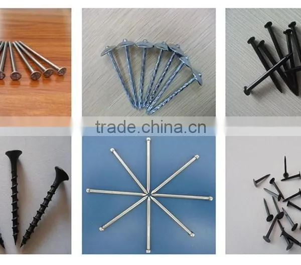 Polish Common Wire Nails photo-4