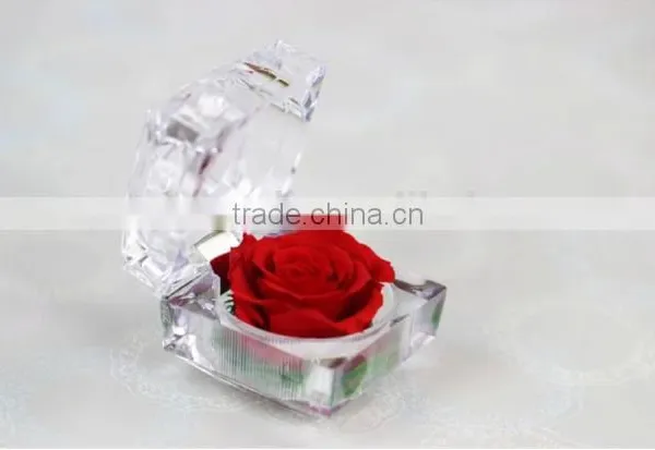 Real Natural Fresh Preserved Roses Flower Everlasting Preserved Roses photo-2