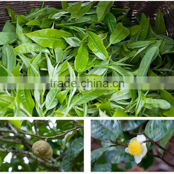 Yunnan Originc High Quality Mini Tuo Tea Raw Pu-erh Tea Ripe Tea photo-3