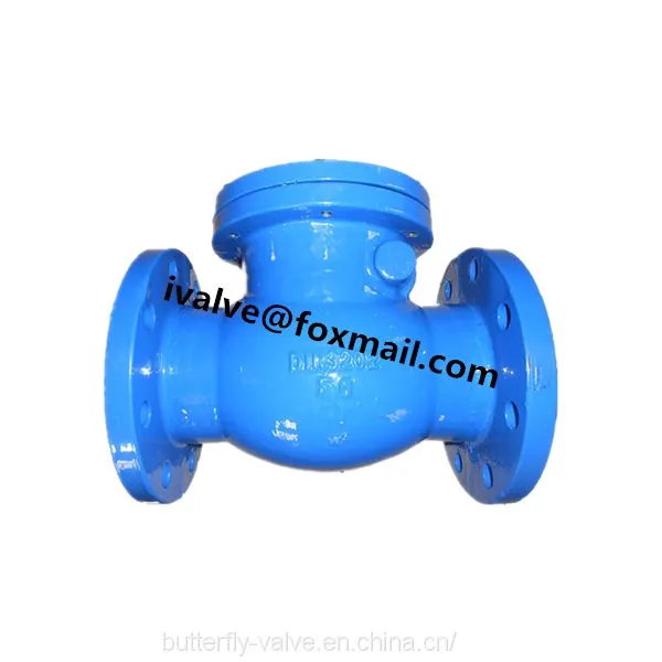 Cast Iron Swing Type Check Valve