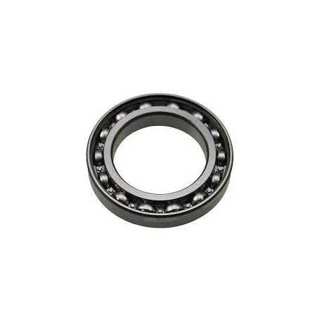 12JS160T-1701124 Stainless Steel Ball Bearings 17*40*12mm High Corrosion Resisting