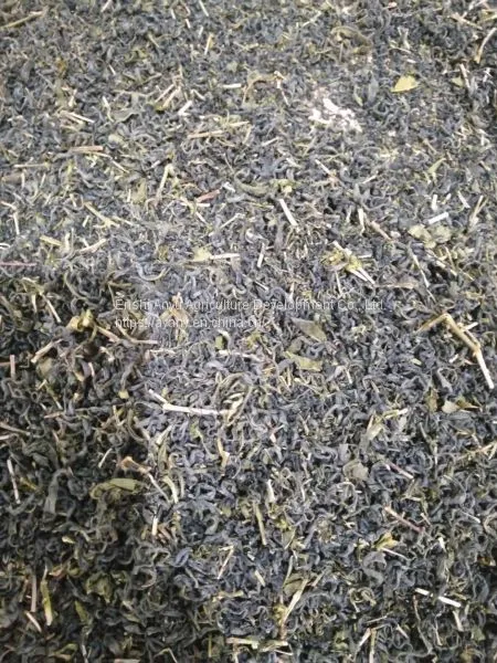 Supply of Green Tea, Coarse Tea, Pearl Tea, Mass Tea, Large Leaf Tea, Suitable for Hotels and Guesthouses to Drink Ai'e Awdiaec Selenium Rich Tea photo-3