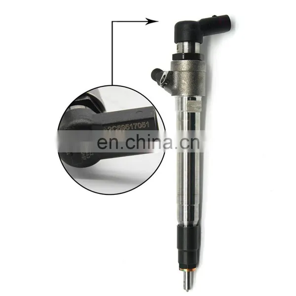 WEIYUAN Common Rail Injector A2C59517051 Fuel Pump Injector A2C59517051 for Common Rail Fuel Pump photo-6