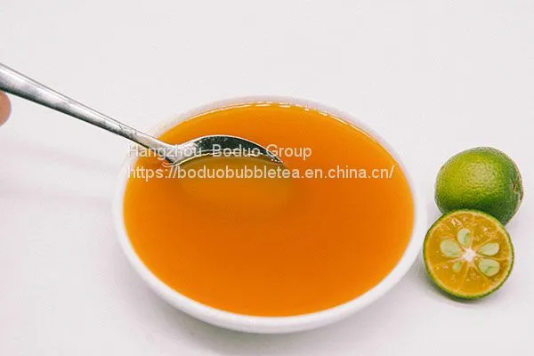 Specially Blended Cocoa Flavored Powder Boduo Bubble Tea Raw Material Affordable Price photo-5