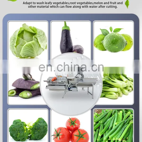 Automatic Vegetable Onion and Fruit Washing Machine Vegetable Wash Machine Fruit photo-2