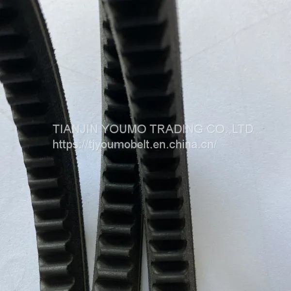 Cogged V Belt