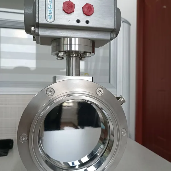 Alpha Powder - Sealed Conveying Valve photo-2