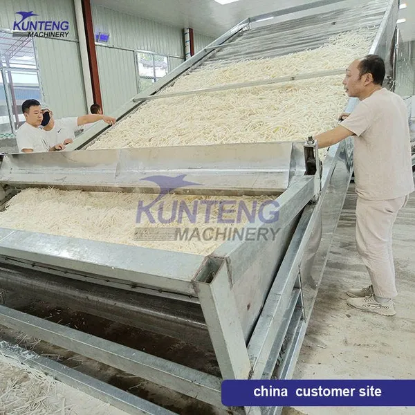 Secador de almidón de patata de cinta de malla completamente automático, máquina de secado de cáscaras de limón, equipo de deshidratación de bagazo de fruta EPC