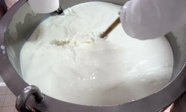 Cream Cheese Soft Cheese Making Machine photo-6
