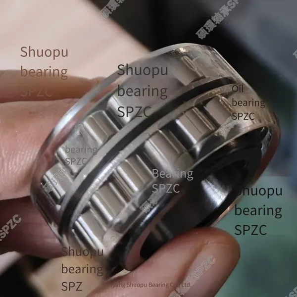 Luoyang Shuopu Bearing F-554377 Cylindrical Roller Bearing Without Outer Ring photo-2