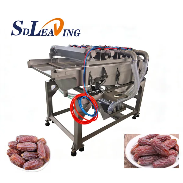 Food Grade Stainless Steel Palm Dates Processing Machine Automatic Dates Washing Pitting Drying Sorting Machinery for Industry photo-2