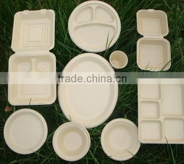 Eco Friendly Disposable Bamboo Fibers Tableware