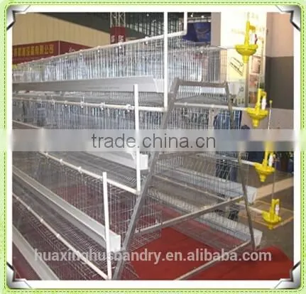 Quail Cages and Equipment of Chicken Coop