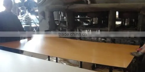 Hot Sale Good Quanlity Cheap Price Melamine MDF Panel Board photo-3