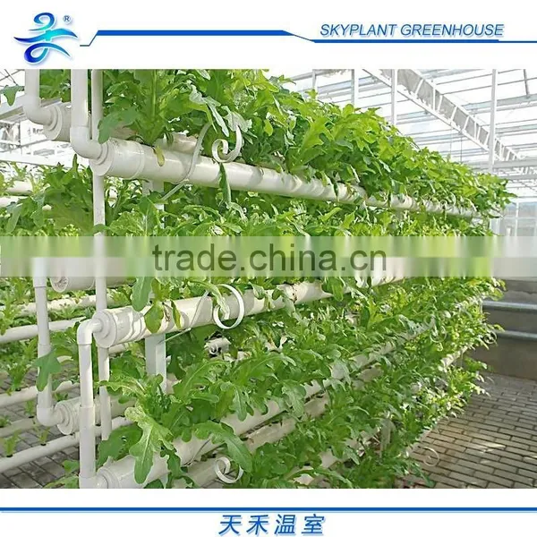 Large 10m Span Multi-Span Plastic Vegetable Greenhouse photo-5