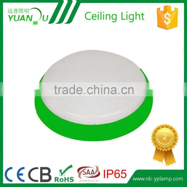 Delicated Appearance Ip65 Led Ceiling Light photo-6