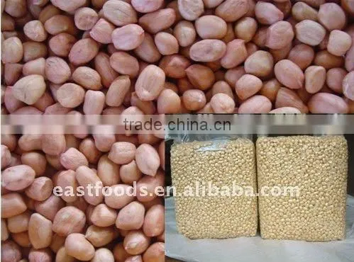Peanut Kernel Round Type From China photo-4