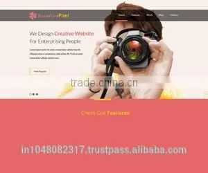 Website Design and Development photo-5