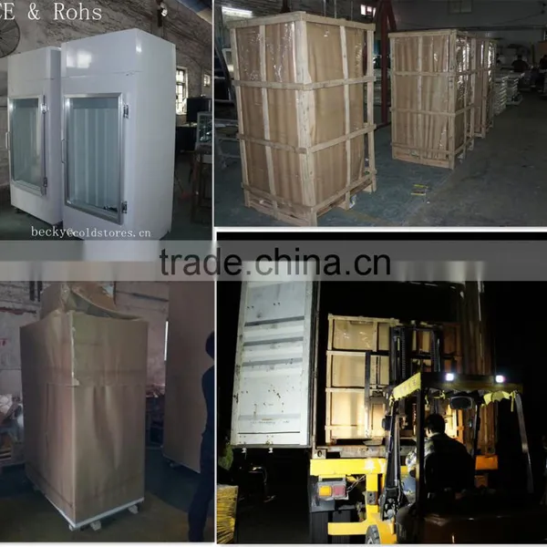 Gas Station Bagged Ice Freezer Ice Merchandiser With Glass Door photo-6