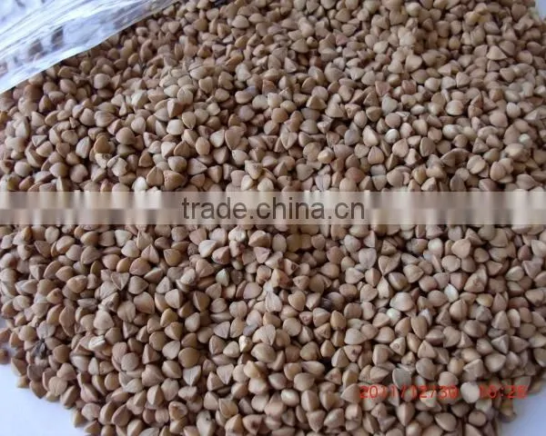 Chinese Roasted Buckwheat Kernel to GEORGIA AND RUSSIAN photo-2