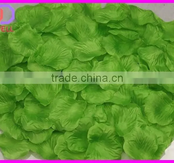 Preserved Natural Rose Petals photo-5