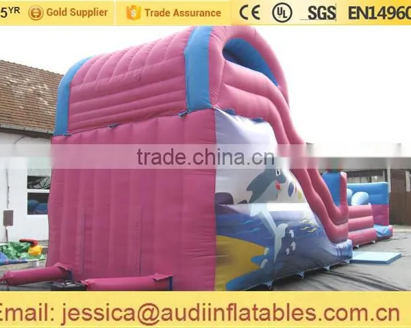 Inflatable Dolphin Slide Small for Sale photo-6