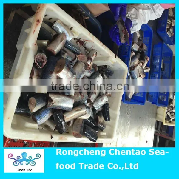 Pacific Mackerel as Canned Mackerel Material