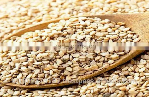 Natural Sesame Seeds/Sesame Seeds