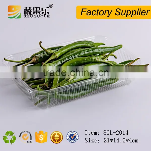 OEM Welcome PET Pepper Packing Trays on Supermarket photo-2