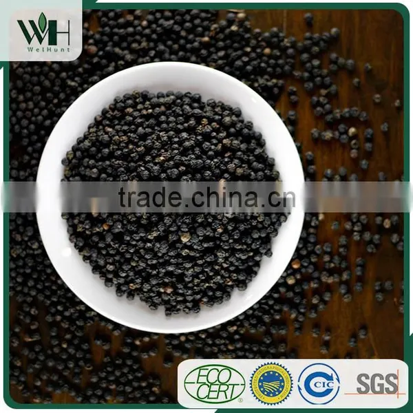 Kampot Bulk Black Pepper 570GL With Good Rate