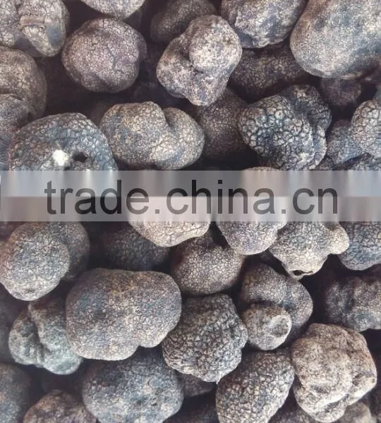 Best Sale for Frozen Summer Truffle 2015 photo-2