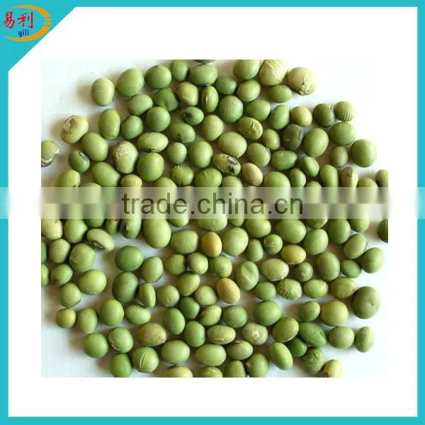 IQF Frozen Green Peas From Manufacturer