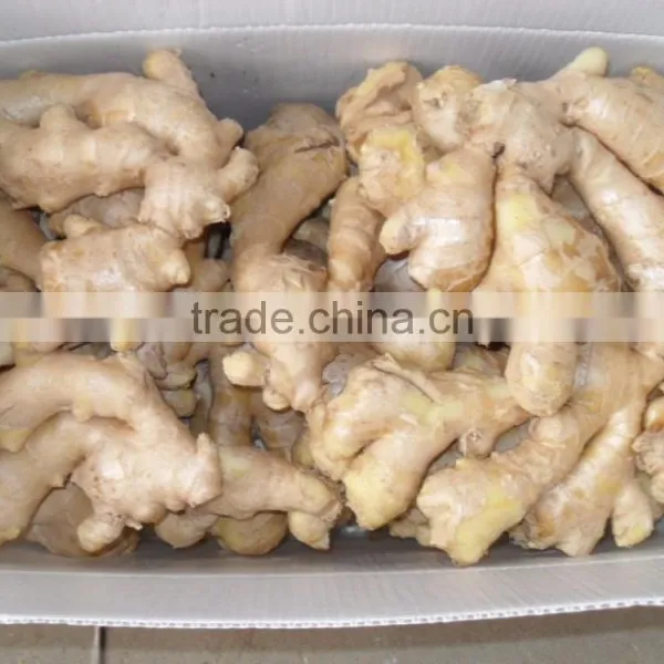 Dried Ginger photo-2
