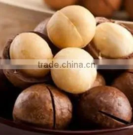 New Type Macadamia Nut Cracker Machine/macadamia Nut Opening Machine/macadamia Nut Tapping Machine photo-6