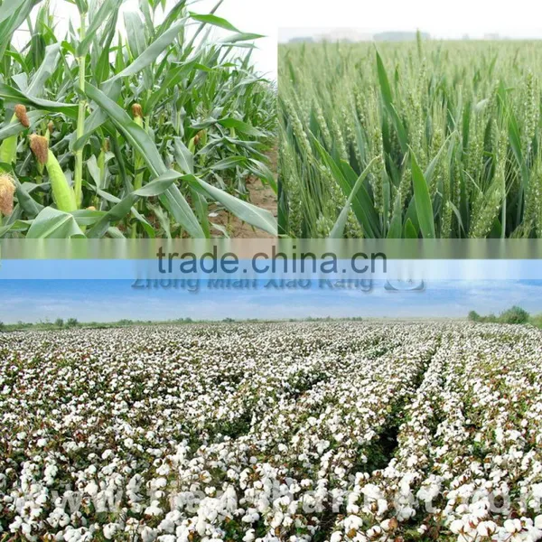Plant Growth Hormone Pix Ultra 98% TC Supplied by Factory in China photo-6