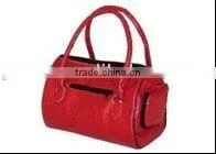 Dog Bag