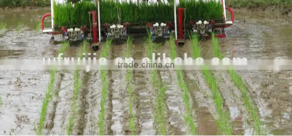 8 Rows 238mm Electric Key Start Rice Transplanter With Hydraulic Device and Cheaper Rice Transplanter Price photo-3