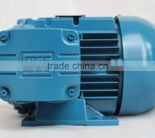 Asynchronous Motor Three Phase Induction Electric Motor Squirrel Cage Motor